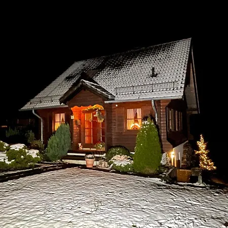 Lejlighed Ferienblockhaus 'am Kunstberg' Altenau (Lower-Saxony)