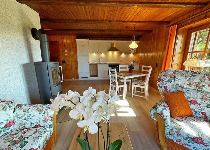 Ferienblockhaus 'am Kunstberg' * Altenau (Lower-Saxony)